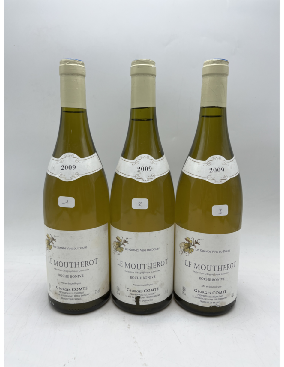 Georges Comte Roche Bonive Bourgogne Blanc 2009