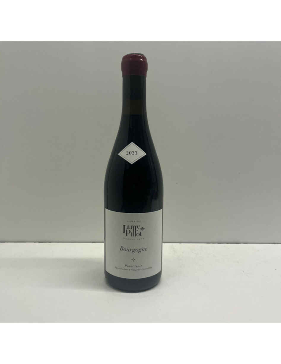Lamy pillot Bourgogne Rouge 2023
