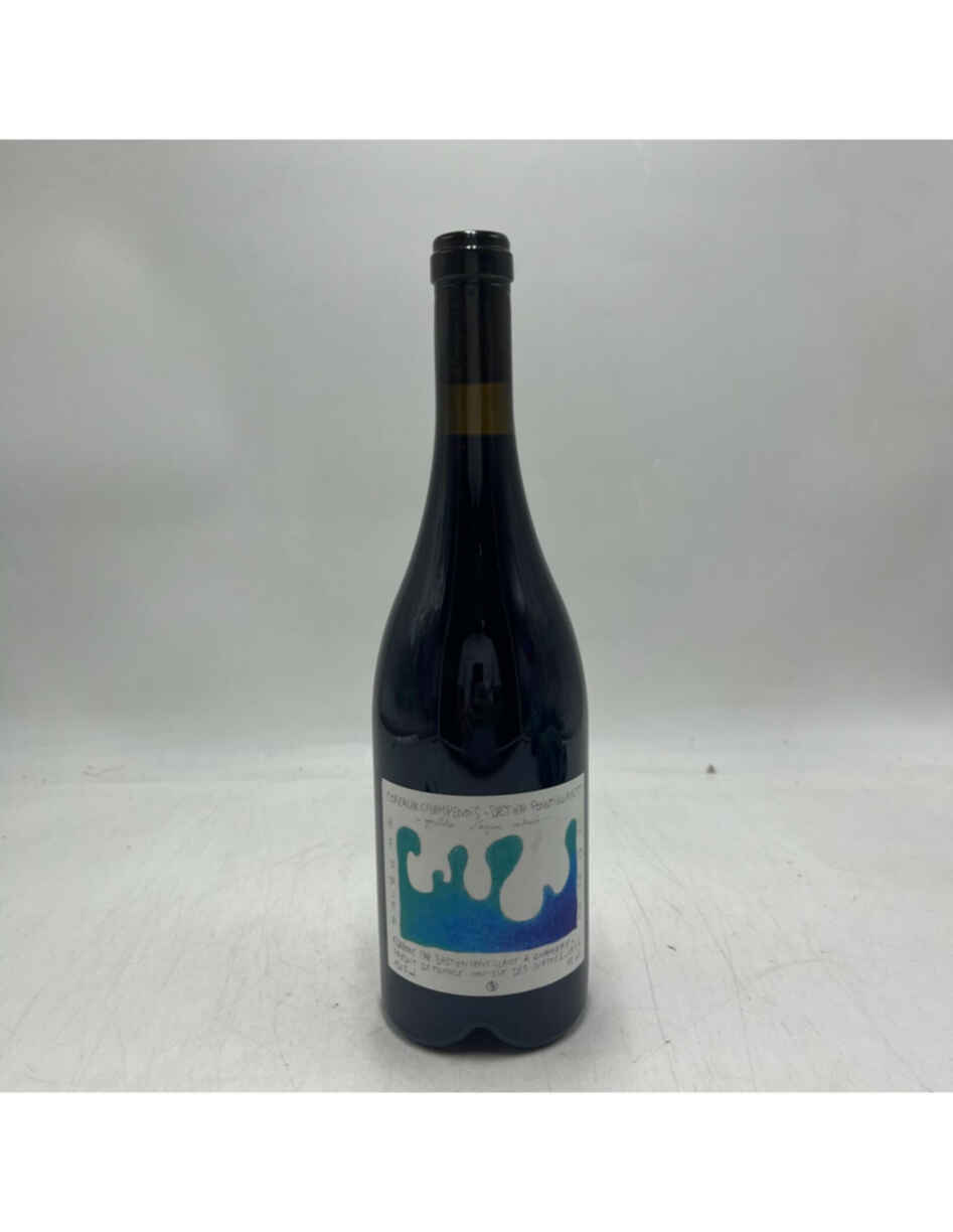 Pointillart-baillet Coteaux Champenois 2022