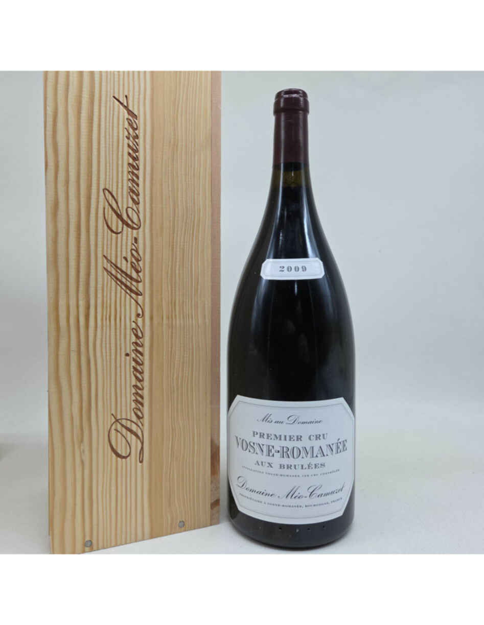 Meo Camuzet Vosne Romanee Aux Brulees 1er Cru 2009