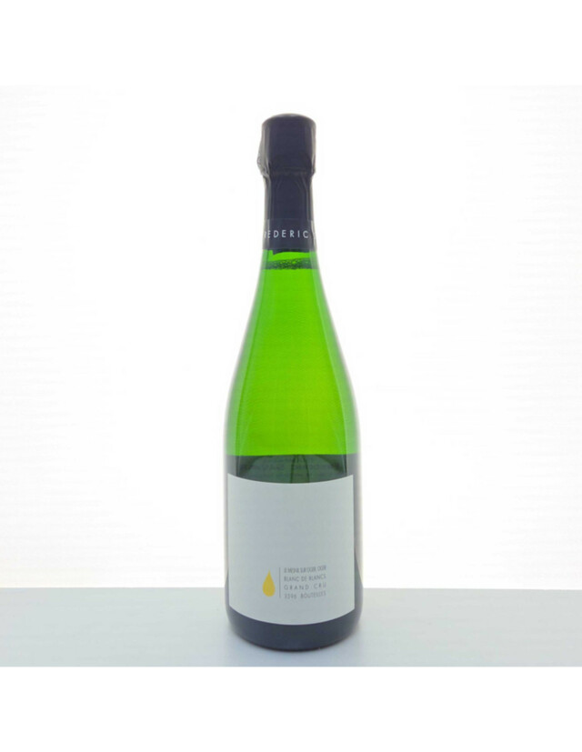 Frederic Savart Le Mesnil Sur Oger