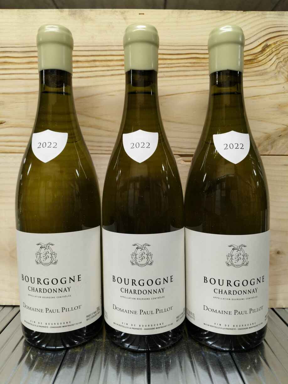 Paul Pillot Bourgogne Blanc 2022