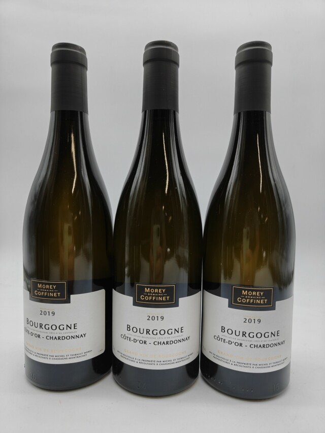 Morey Coffinet Bourgogne Blanc, 2019