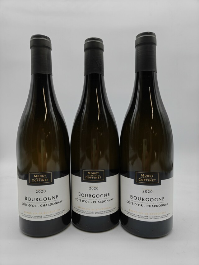 Morey Coffinet Bourgogne Blanc, 2020