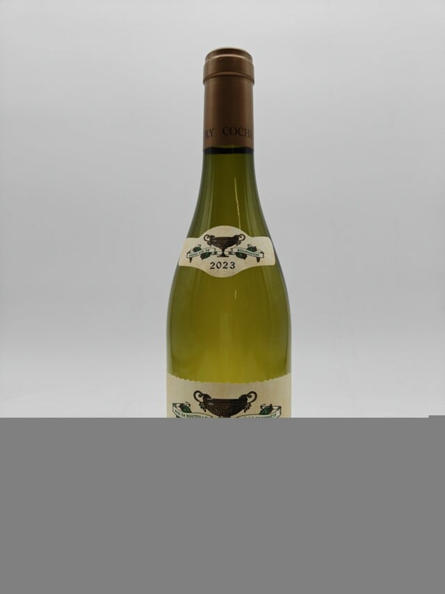 Coche Dury Bourgogne Blanc, 2023