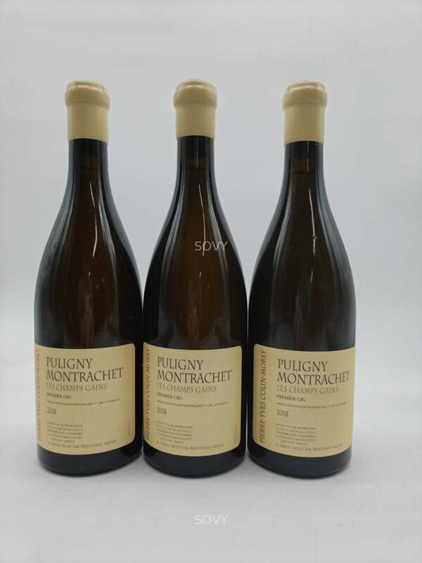 Pierre-yves Colin-morey Puligny Montrachet Les Champs Gain Premier Cru, 2018