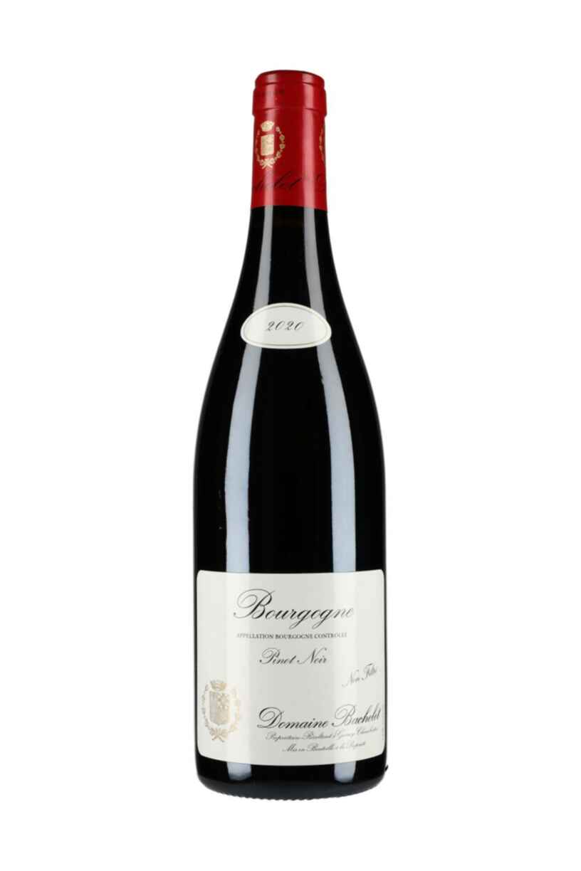 Bachelet Bourgogne Pinot Noir 2020