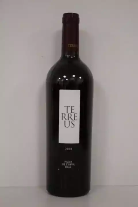 Mauro Terreus 2001