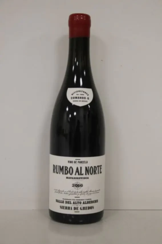 Comando G Rumbo Al Norte, 2016