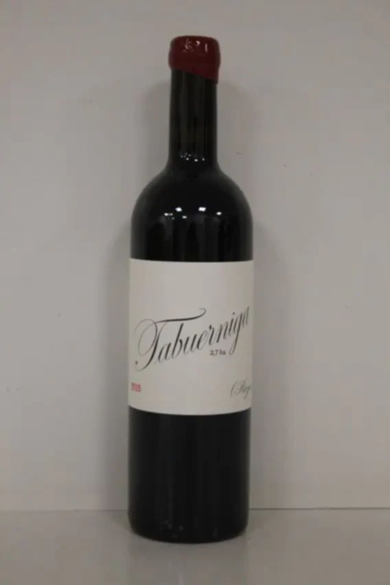 Telmo Rodriguez Tabuerniga, 2015