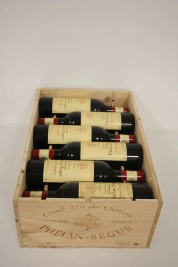 Phelan Segur, 1999