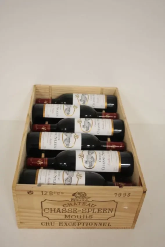 Chateau Chasse Spleen, 1993