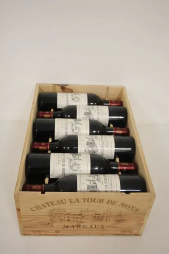 Chateau La Tour De Mons, 1995