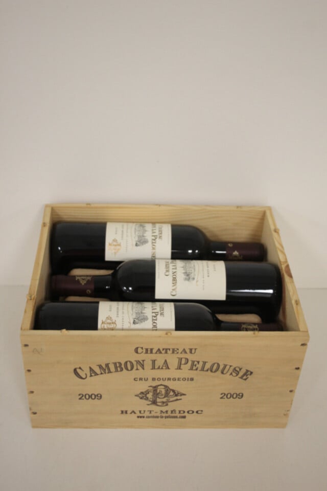 Chateau Cambon La Pelouse, 2009