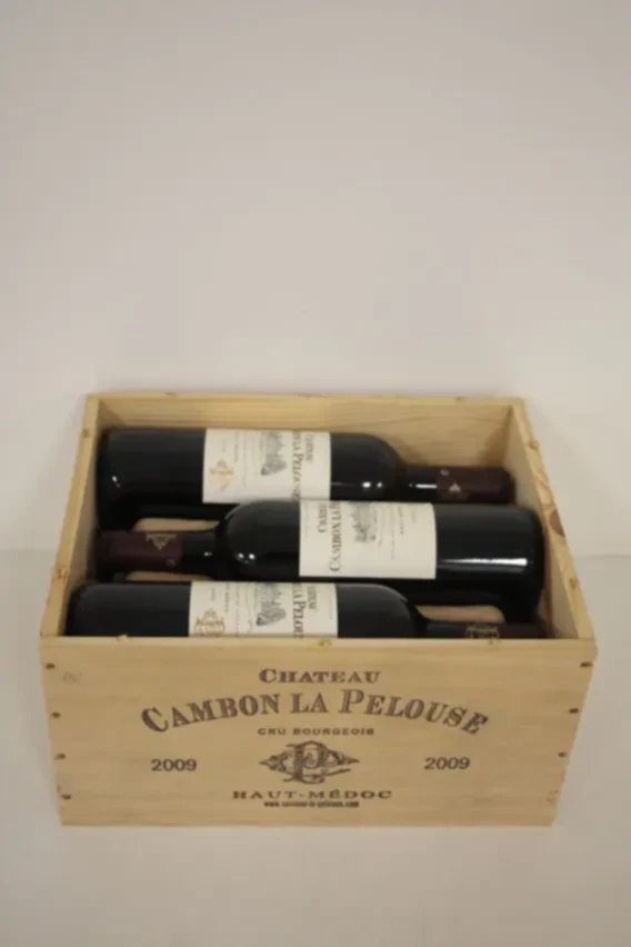 Chateau Cambon La Pelouse, 2009