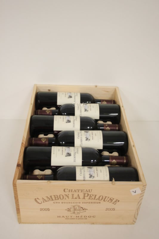 Chateau Cambon La Pelouse, 2005