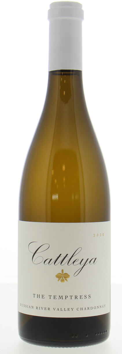 Cattleya Chardonnay The Temptress, 2021