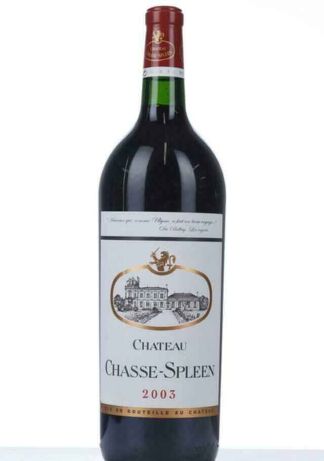 Chateau Chasse Spleen 2003
