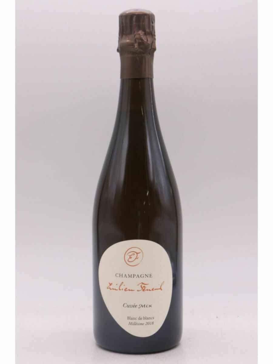 Emilien Feneuil 1er Cru Sermiers Mix Blanc De Blancs 2018