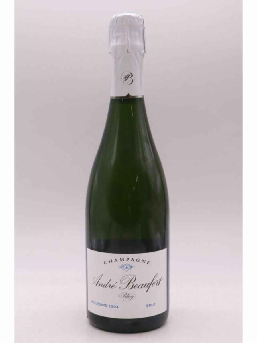 Andre Beaufort Polisy Brut 2004