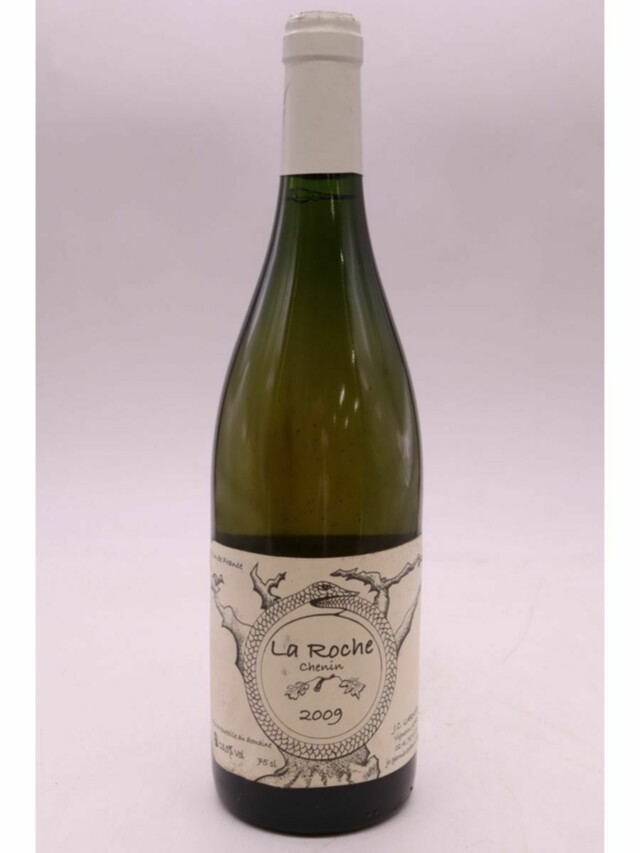 Jean Christophe Garnier La Roche, 2009