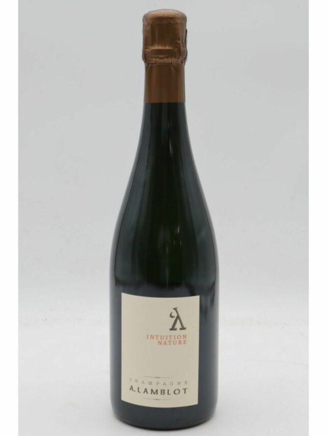 A. Lamblot Intuition Nature Brut Nature