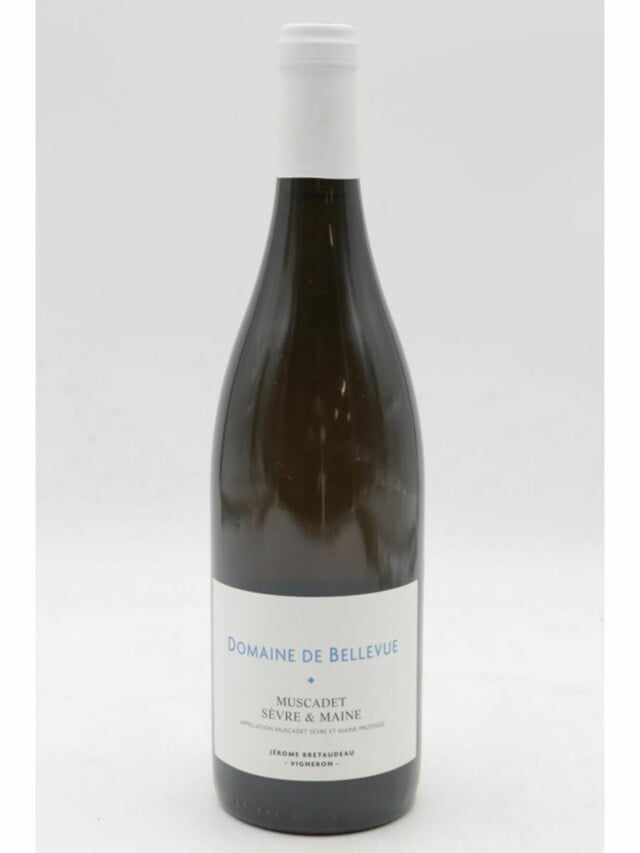 Jerome Bretaudeau Muscadet, 2020