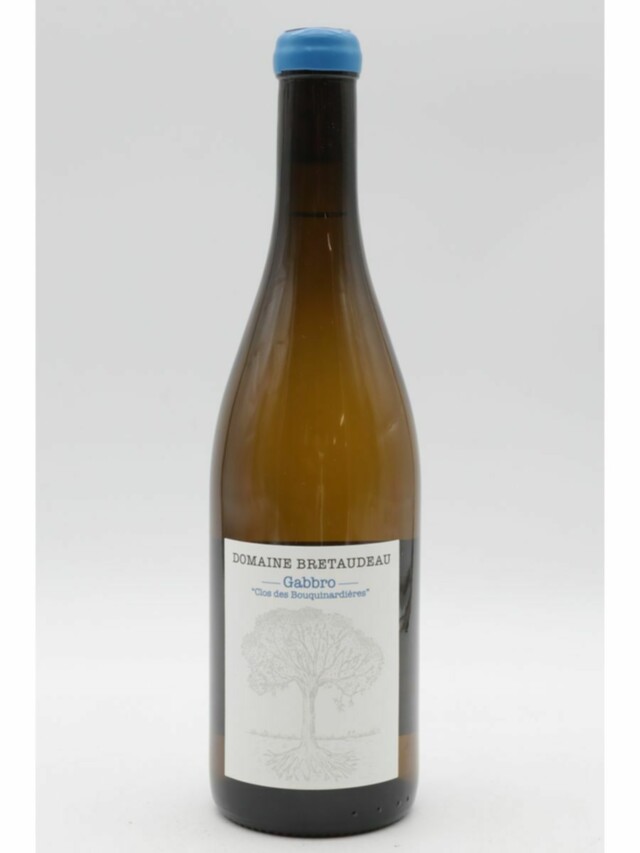 Jerome Bretaudeau Muscadet Gabbro Clos Des Bouquinardieres, 2024