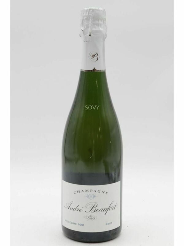 Andre Beaufort Polisy Brut, 2001