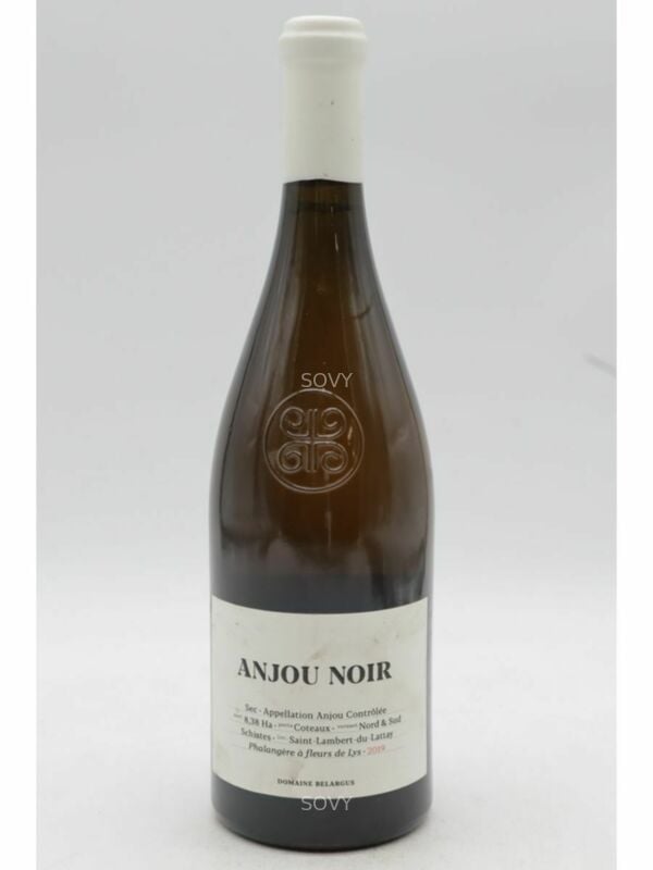 Belargus Anjou Noir, 2019