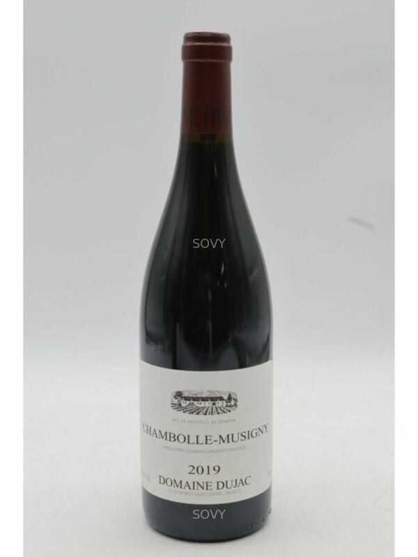 Dujac Chambolle Musigny, 2019