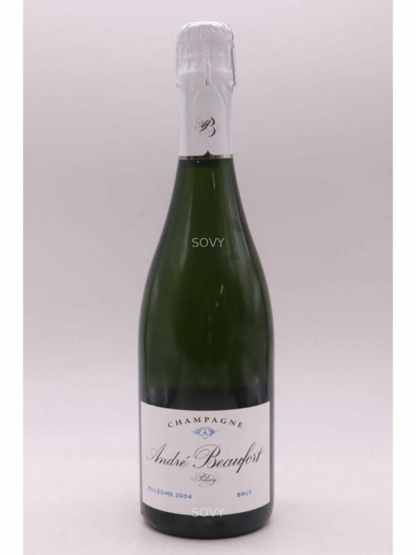 Andre Beaufort Polisy Brut, 2004