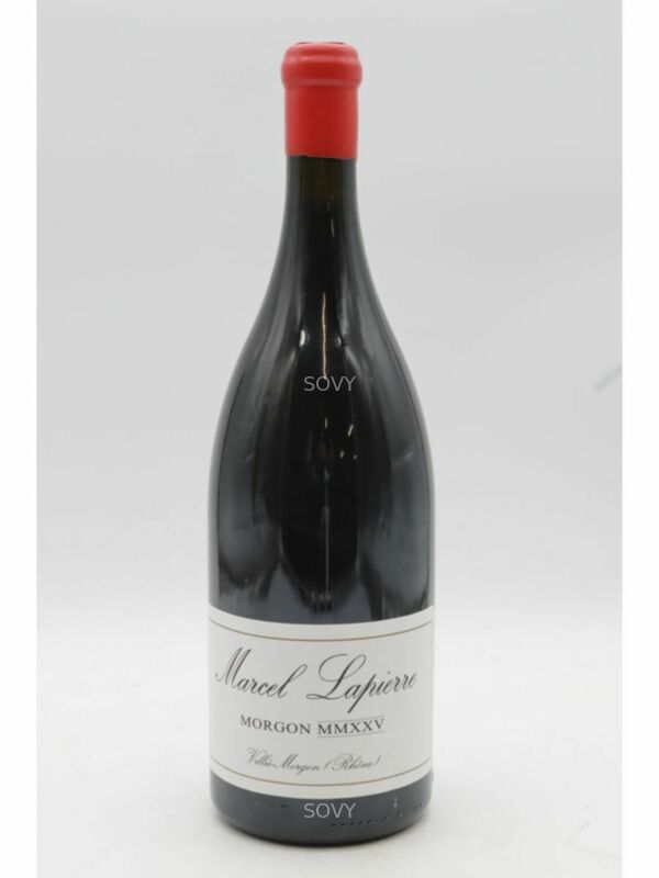 Marcel Lapierre Morgon Cuvée Marcel Lapierre Mmxxv, 2025