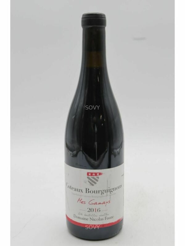 Nicolas Faure Coteaux Bourguignons Mes Gamays, 2016