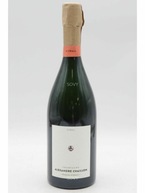 Alexandre Chaillon Stained Glass Extra Brut V21