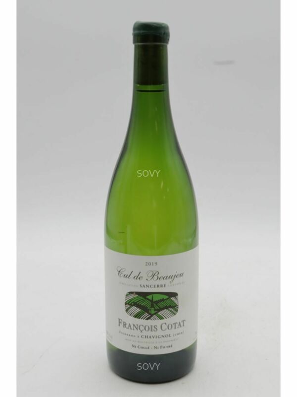 Francois Cotat Sancerre Les Culs De Beaujeu, 2019