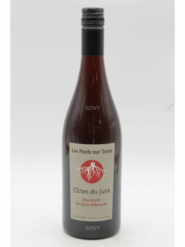 Valentin Morel Cotes Du Jura Poulsard En Bois D'arnaux, 2025