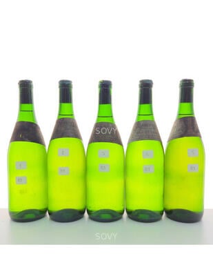 Anne Vatan , Clos De La Neore , 1989