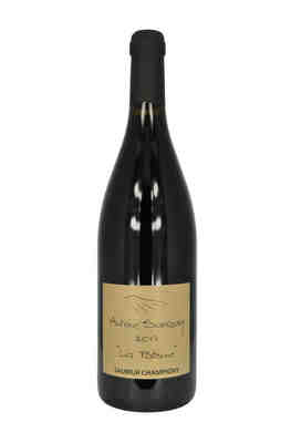 Antoine Sanzay , Saumur Champigny La Paterne , 2019