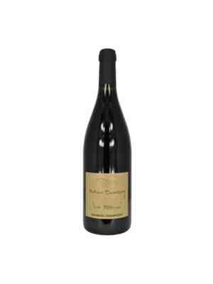 Antoine Sanzay , Saumur Champigny La Paterne , 2021