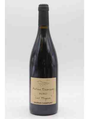 Antoine Sanzay , Saumur Champigny Les Poyeux , 2020