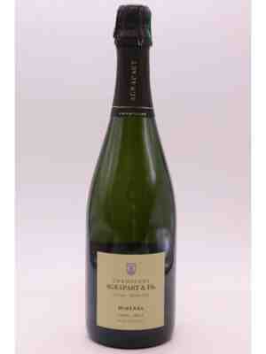 Agrapart , Pascal Agrapart Mineral , 2009