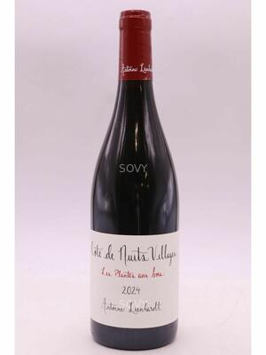Antoine Lienhardt , Cote De Nuits Les Plantes Aux Bois , 2024